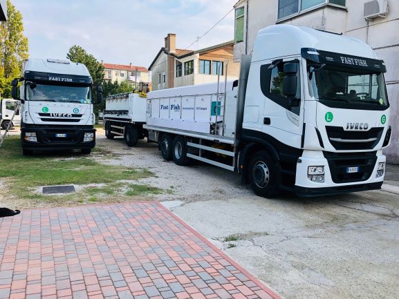Camion in revisione 